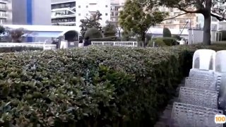 白带狗链调教制服女仆学生毒龙自慰【约炮完整视频看简阶】